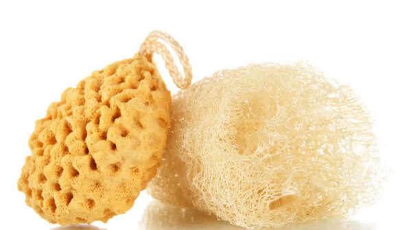 Loofahs and Bath Sponges