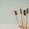 The Toothbrush Holder