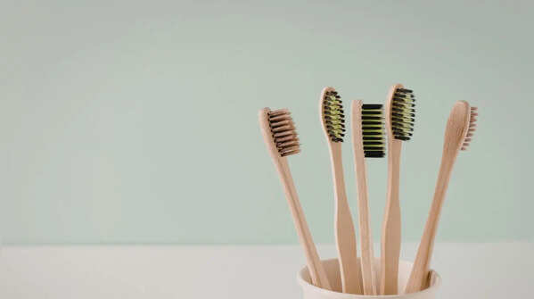 The Toothbrush Holder