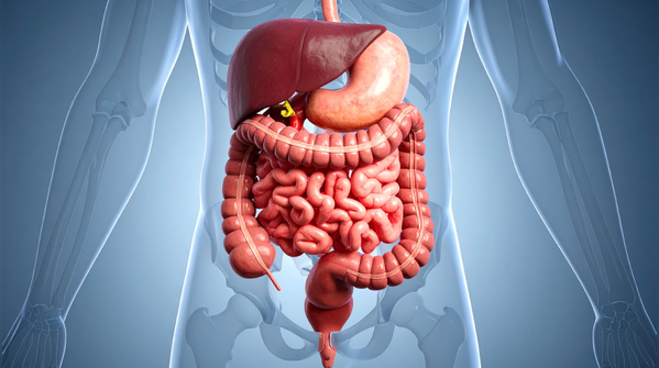A gut that expects diversity, not repetition