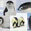 Article image for: <i class="tbold">6</i> facts that will change how you see penguins