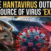 Article image for: MV Hondius Outbreak Origins Revealed? Investigators Zero In On How Virus Boarded Cruise | WATCH