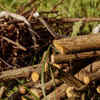 Piles of wood, rocks, or debris