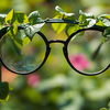 Article image for: Hanging plant or vine holders
