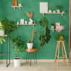 Article image for: Add some indoor <i class="tbold">plants</i>