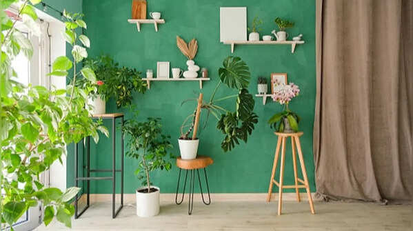 Add some indoor plants