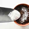 Article image for: Cleaning of <i class="tbold">garden</i>ing tools with baking soda