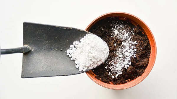 Cleaning of gardening tools with baking soda
