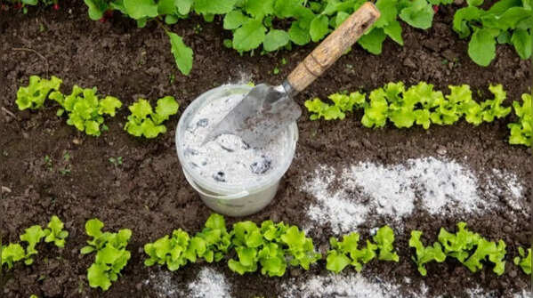 Weed elimination trick with baking soda