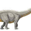 Isisaurus – the giant herbivore