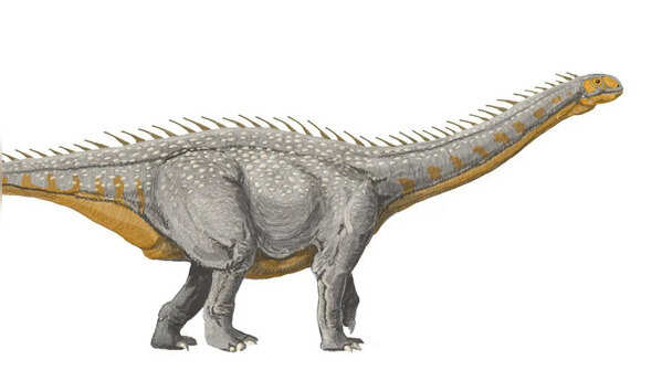 Isisaurus – the giant herbivore