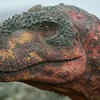Rajasaurus – 'royal lizard' predator