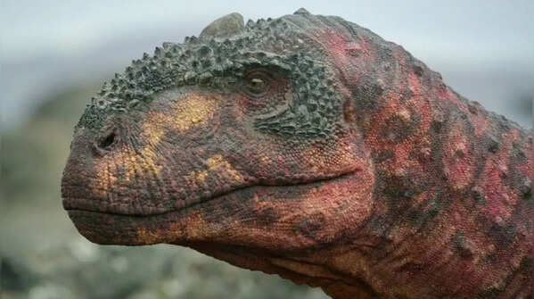 Rajasaurus – 'royal lizard' predator