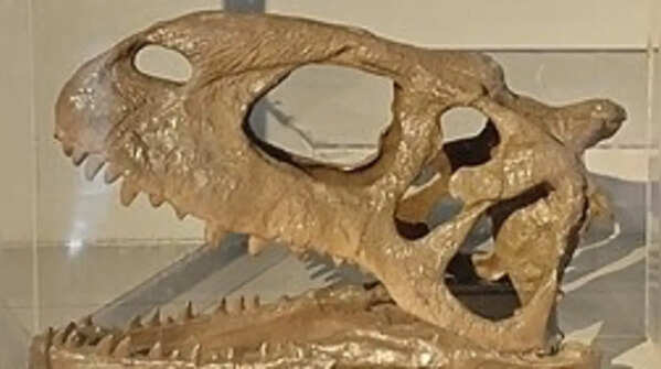 Dinosaurs found in India: The giant creatures that once roamed the subcontinent