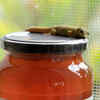 Simple kitchen habits that may attract more lizards indoors