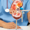 The lungs can collapse under pressure