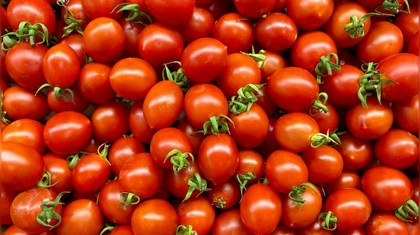 Tomatoes
