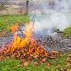 Burning garden waste whenever you want