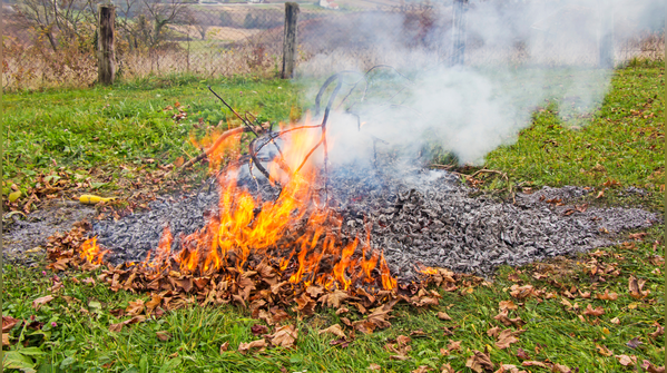 Burning garden waste whenever you want