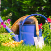 Article image for: UK garden rules to know