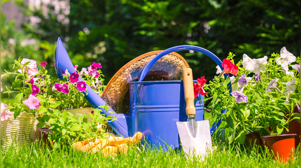 UK garden rules to know