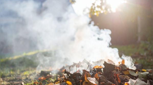 Burning garden waste without permission