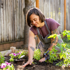 US garden rules you must know
