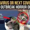 Article image for: WHO Expert Addresses Hantavirus Panic After Cruise Ship Deaths