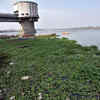 Article image for: 1,500 cusecs being released to improve water quality in weir