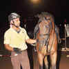 Article image for: Click here to see the latest images of <i class="tbold">randeep</i>