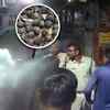 Article image for: From Panihati To Howrah's Shibpur: Bengal Rocked By Multiple Bomb Blasts