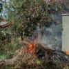 Article image for: Openly burning garden waste when it is forbidden