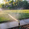 Watering the lawn when the water restriction applies