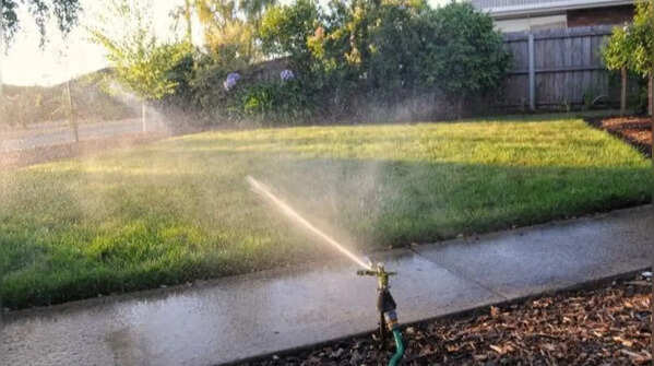 Watering the lawn when the water restriction applies