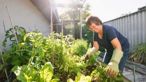 Things you are not allowed to do in your garden in Australia