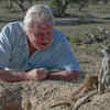 Article image for: Over 50 <i class="tbold">species</i> are named after him