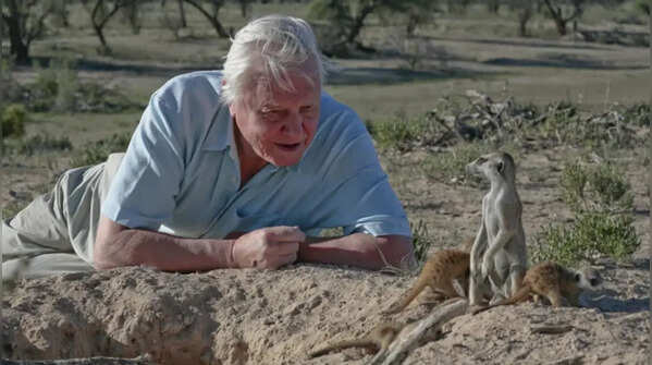 Over 50 species are named after him