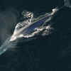Article image for: Whales: Ocean giants, but still mammals
