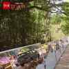 Article image for: Mysuru Mirror Wall Goes Viral for Tackling Public Urination