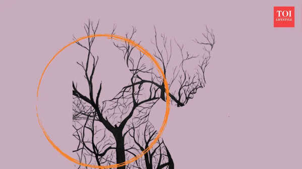 If you saw the trees first, it means…