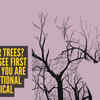 Article image for: Optical illusion personality test