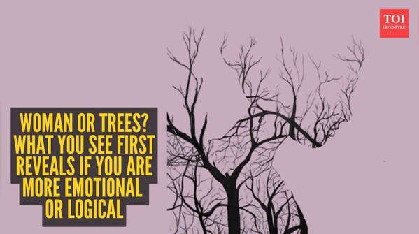 Optical illusion personality test