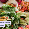 Article image for: How to use fruit peels as a fertiliser (common fruits to know)