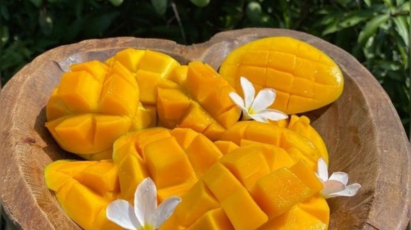 Mangoes