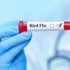 Symptoms can look like flu or <i class="tbold">covid</i>, and that is part of the problem