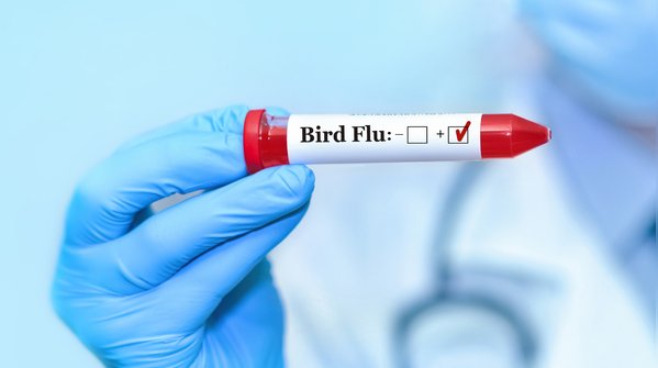 Symptoms can look like flu or Covid, and that is part of the problem