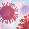 Article image for: How exactly do humans get infected with bird flu?
