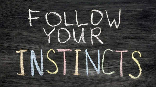 Following your instincts