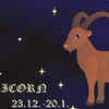 Capricorn