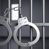 Article image for: 10,312 arrested in 2024 in cases linked to cruelty against animals, NCRB tracks animal cruelty cases for first time